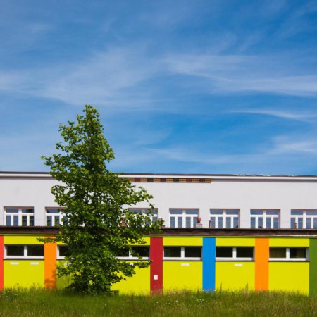 Wyświetl org. rozmiar