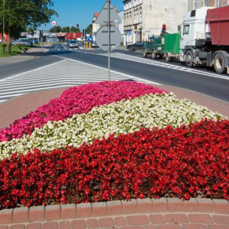 Wyświetl org. rozmiar