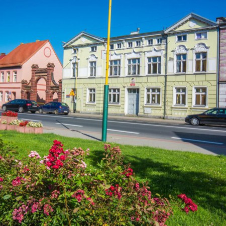Wyświetl org. rozmiar