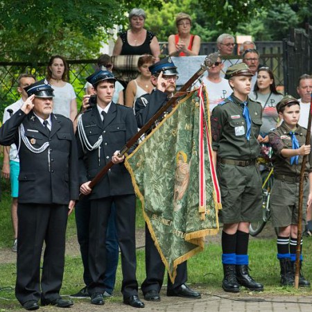 Wyświetl org. rozmiar