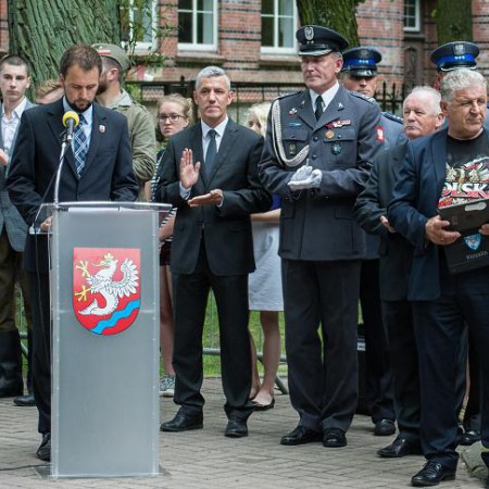 Wyświetl org. rozmiar