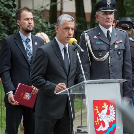 Wyświetl org. rozmiar
