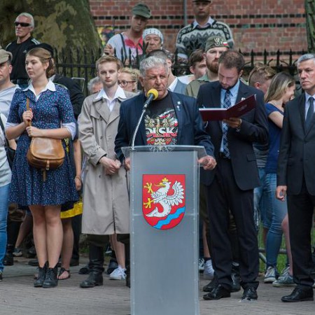 Wyświetl org. rozmiar