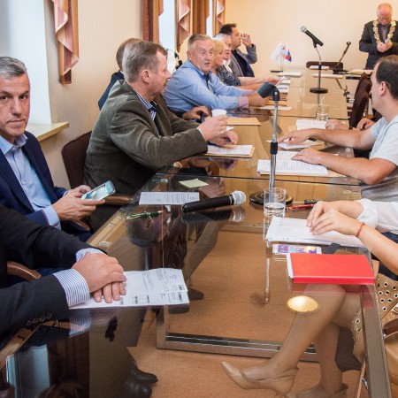 Wyświetl org. rozmiar