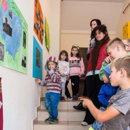 Wyświetl org. rozmiar