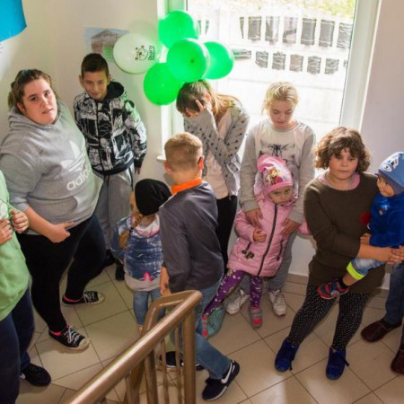 Wyświetl org. rozmiar