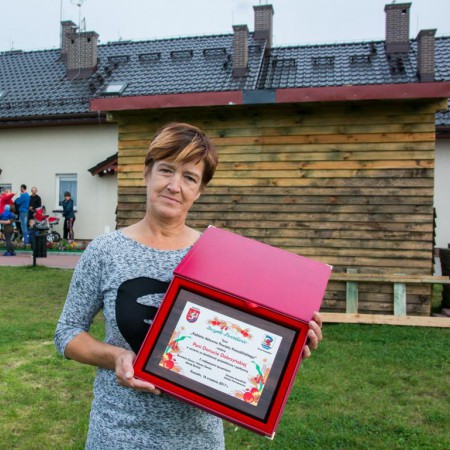Wyświetl org. rozmiar