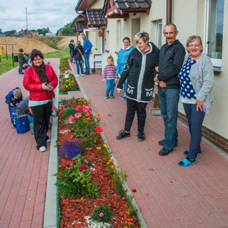 Wyświetl org. rozmiar