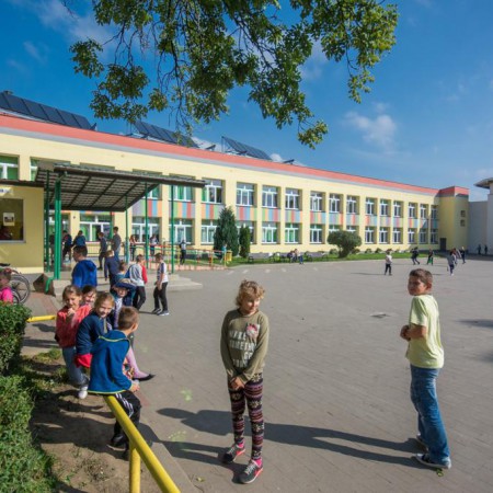 Wyświetl org. rozmiar