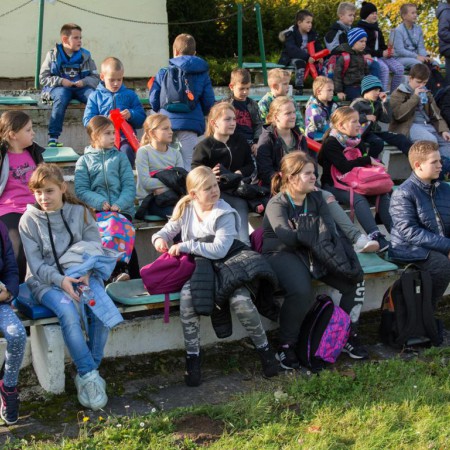 Wyświetl org. rozmiar