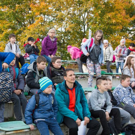 Wyświetl org. rozmiar