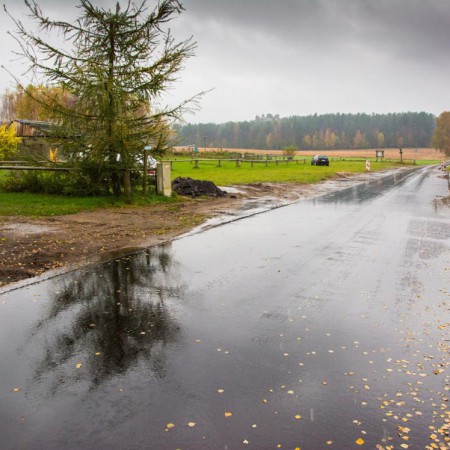 Wyświetl org. rozmiar