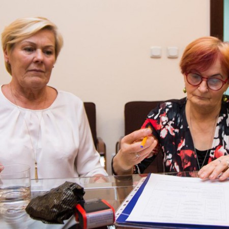 Wyświetl org. rozmiar