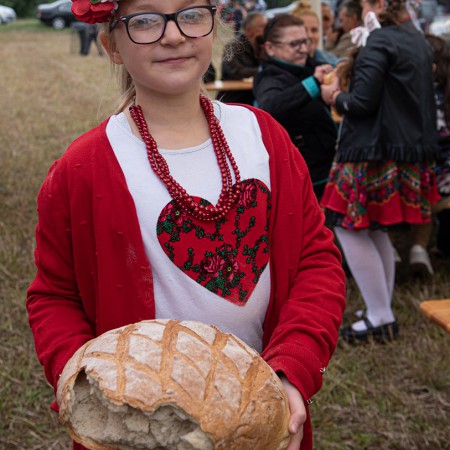 Wyświetl org. rozmiar