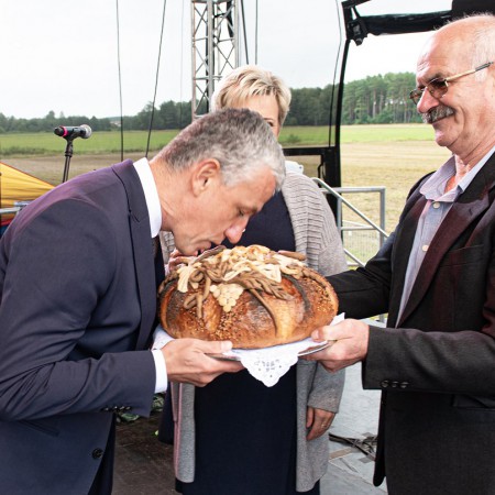 Wyświetl org. rozmiar