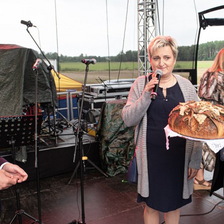 Wyświetl org. rozmiar
