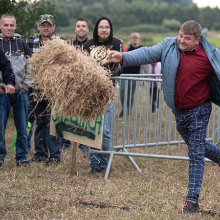 Wyświetl org. rozmiar