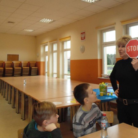 Wyświetl org. rozmiar