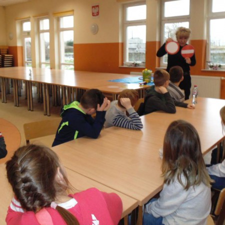 Wyświetl org. rozmiar