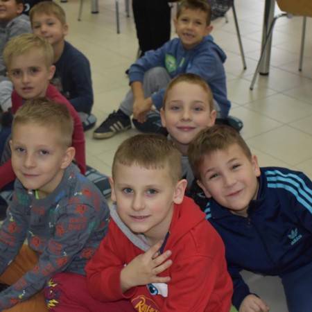 Wyświetl org. rozmiar