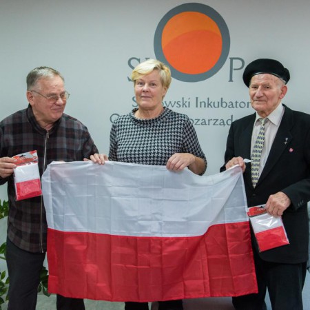 Wyświetl org. rozmiar