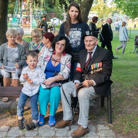 Wyświetl org. rozmiar