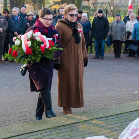 Wyświetl org. rozmiar