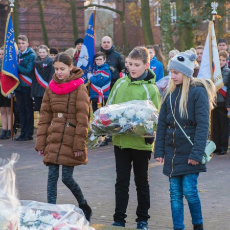 Wyświetl org. rozmiar