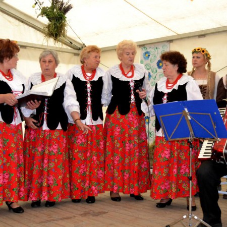 Wyświetl org. rozmiar