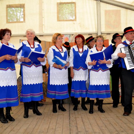 Wyświetl org. rozmiar