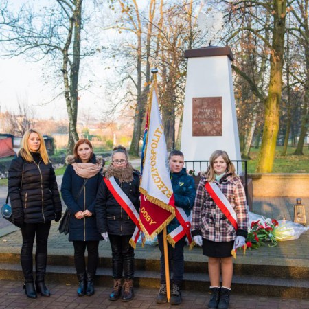 Wyświetl org. rozmiar