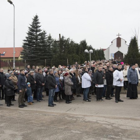 Wyświetl org. rozmiar