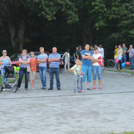 Wyświetl org. rozmiar