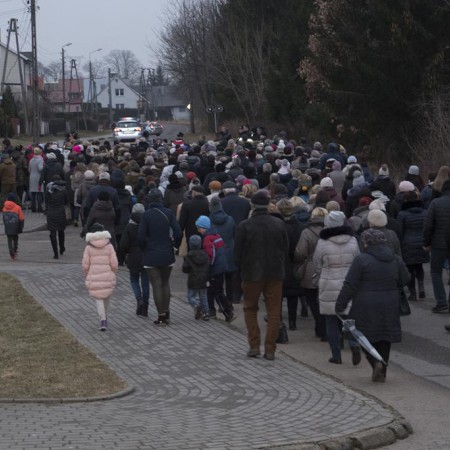 Wyświetl org. rozmiar