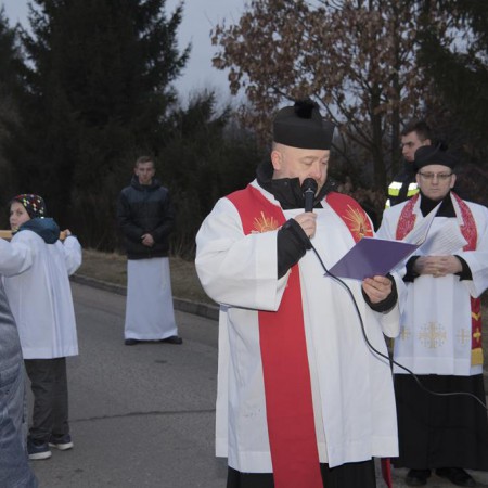 Wyświetl org. rozmiar