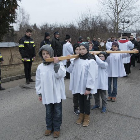 Wyświetl org. rozmiar