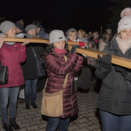 Wyświetl org. rozmiar