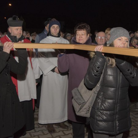 Wyświetl org. rozmiar