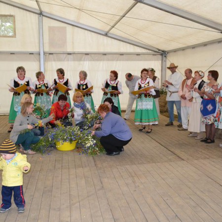Wyświetl org. rozmiar