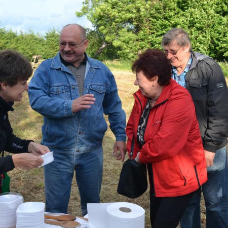 Wyświetl org. rozmiar