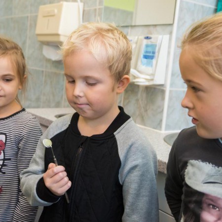 Wyświetl org. rozmiar