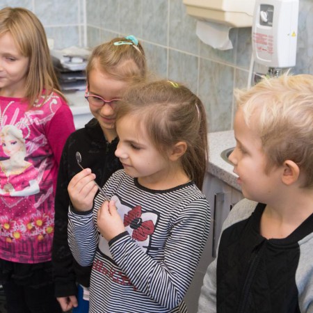 Wyświetl org. rozmiar