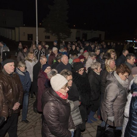 Wyświetl org. rozmiar