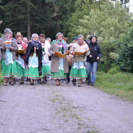 Wyświetl org. rozmiar