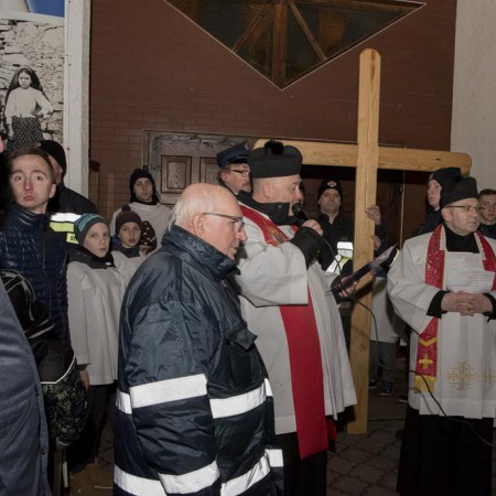 Wyświetl org. rozmiar