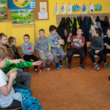 Wyświetl org. rozmiar