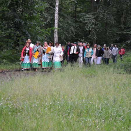 Wyświetl org. rozmiar