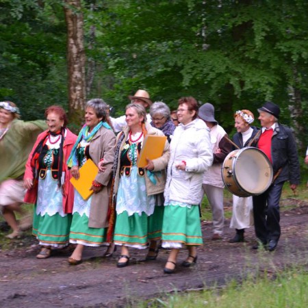 Wyświetl org. rozmiar