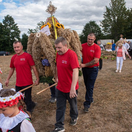 Wyświetl org. rozmiar