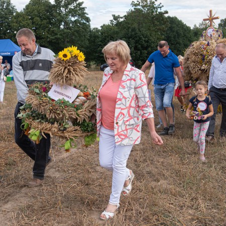 Wyświetl org. rozmiar